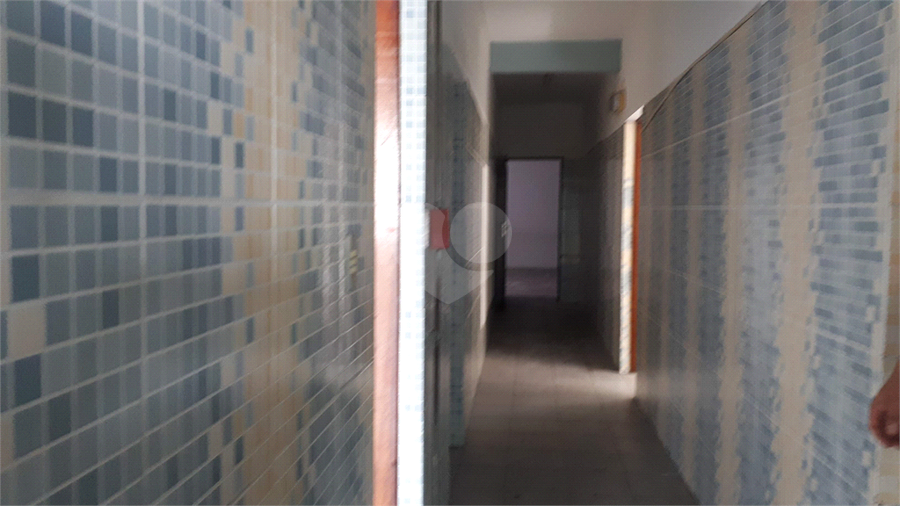 Foto REO569694