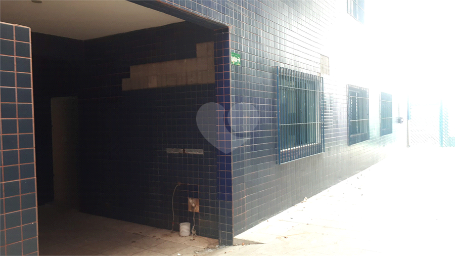 Foto REO569694