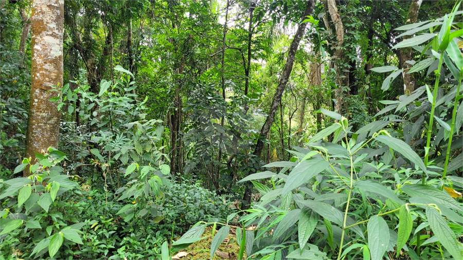 Venda Terreno Mairiporã Serra Da Cantareira REO569770 12