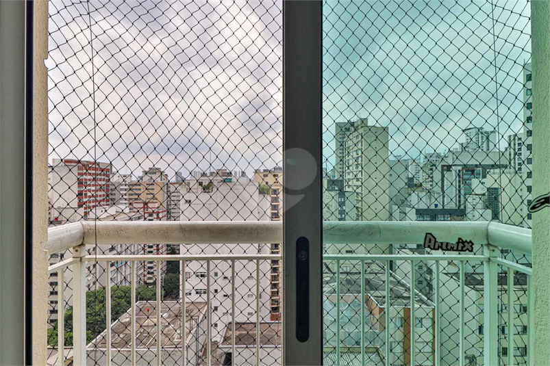 Foto REO569839