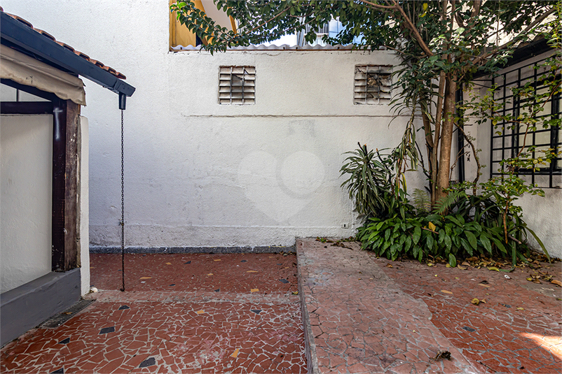 Foto REO569958