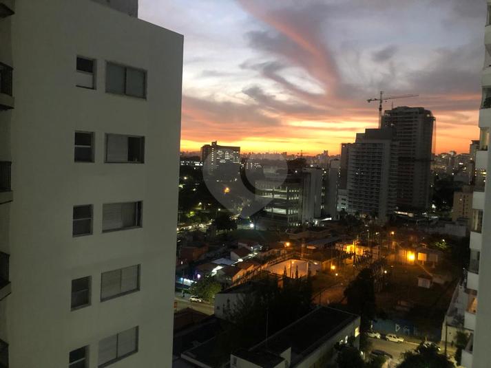 Foto REO570577