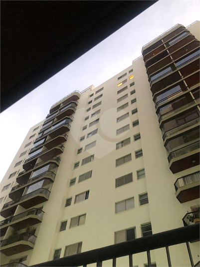 Foto REO570577