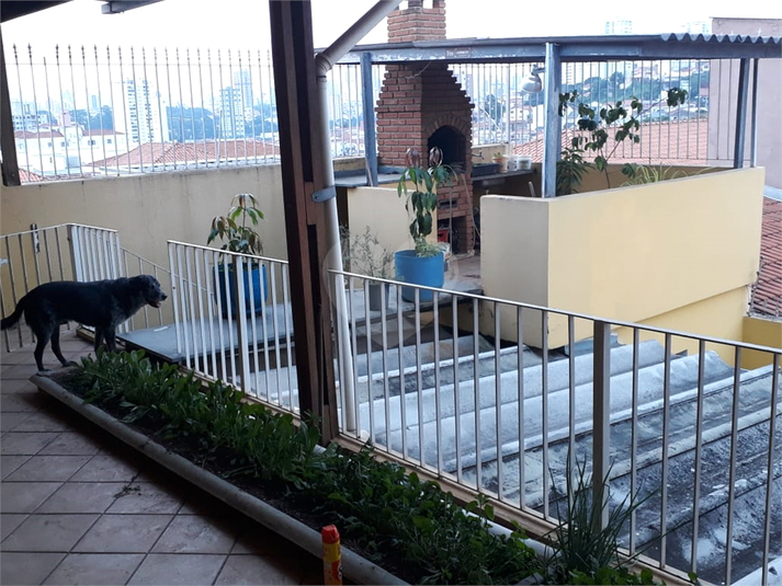 Foto REO570835