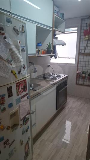 Foto REO571171