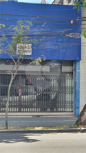 Foto REO571726
