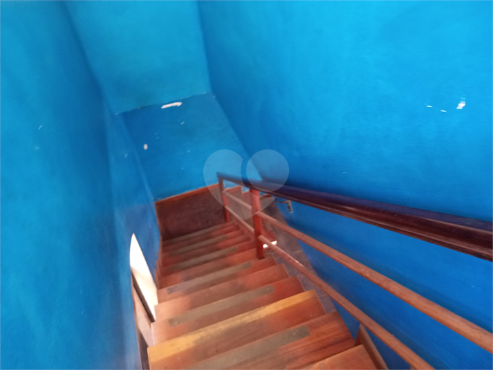 Foto REO571897