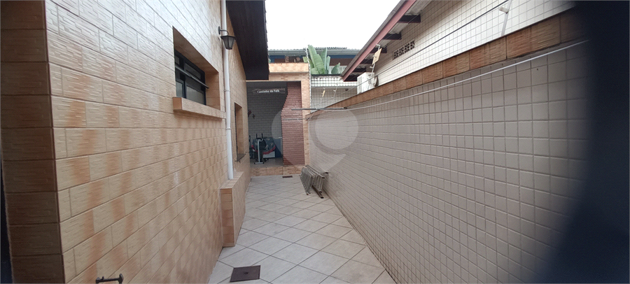 Foto REO572662
