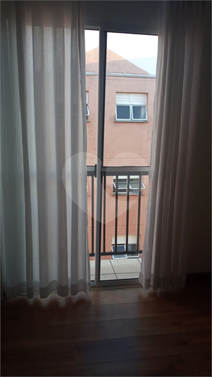 Foto REO572827