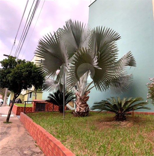 Foto REO573880