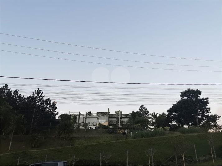 Foto REO573970