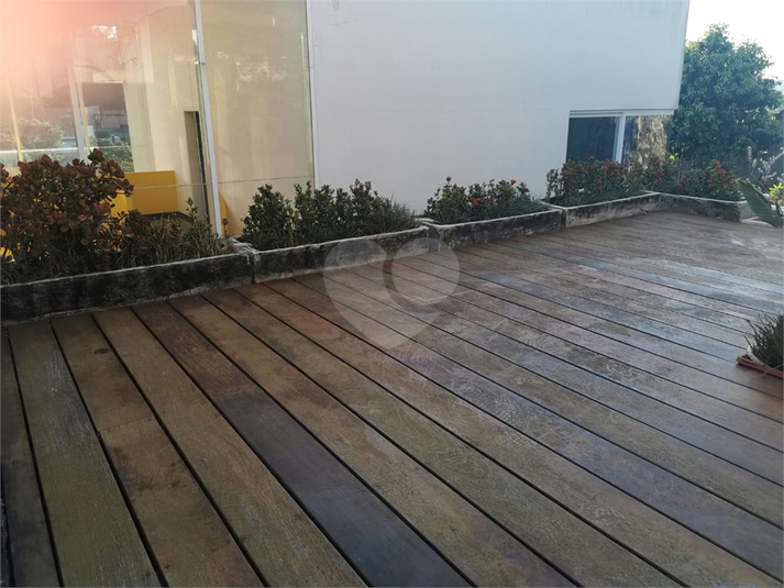 Foto REO573970
