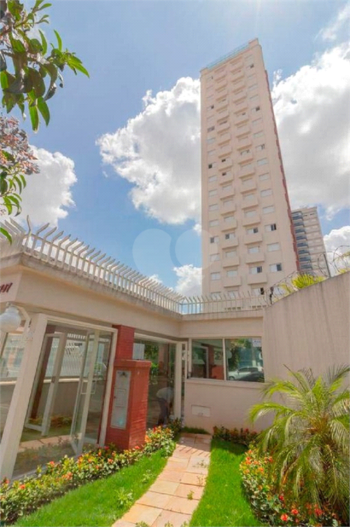 Aluguel Apartamento São Paulo Vila Dom Pedro I REO574048 17