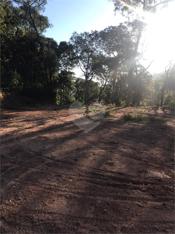 Venda Terreno Mairiporã Serra Da Cantareira REO574613 2