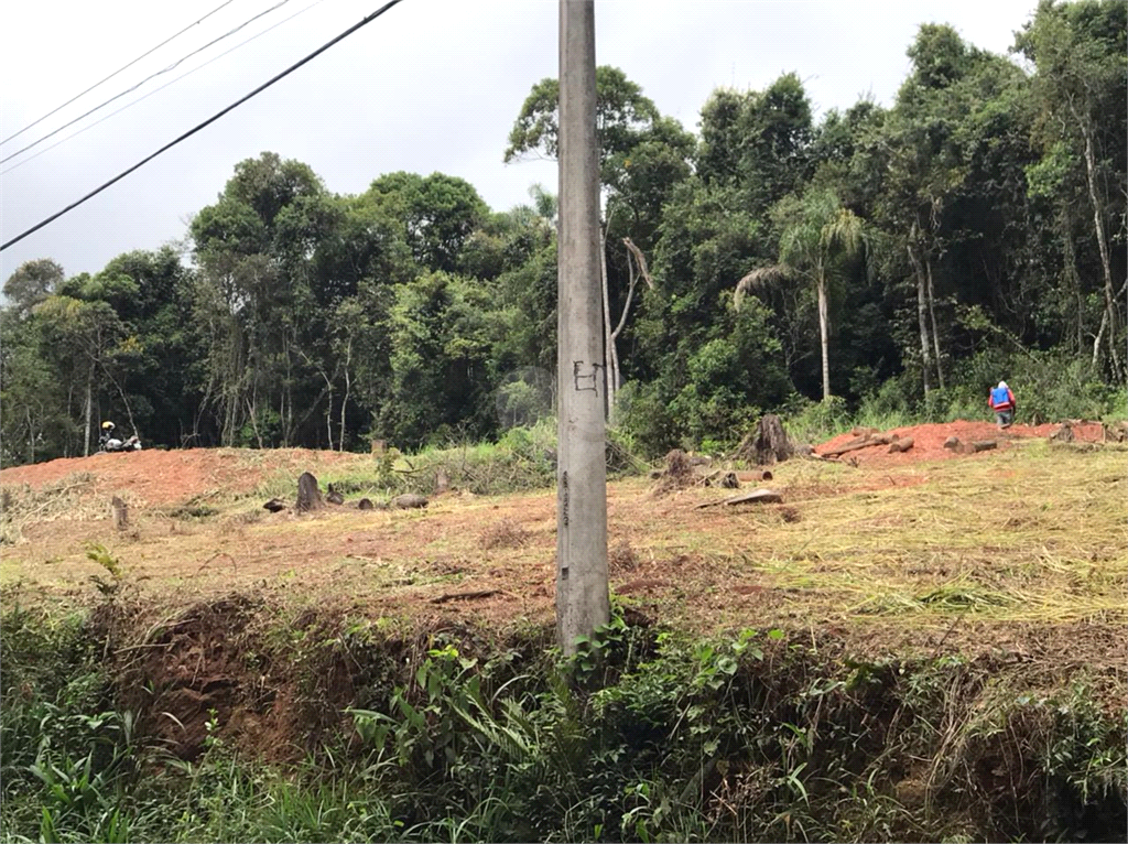 Venda Terreno Mairiporã Serra Da Cantareira REO574613 5