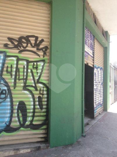 Foto REO57462