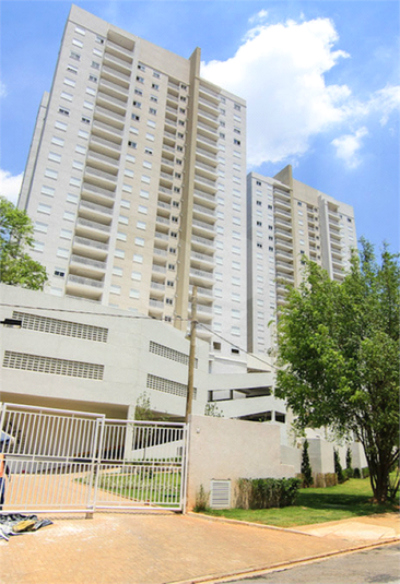 Foto REO575903