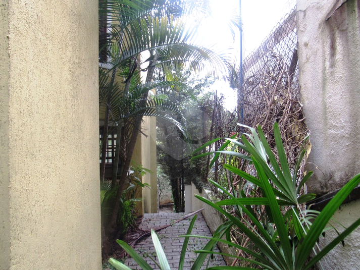 Foto REO576078