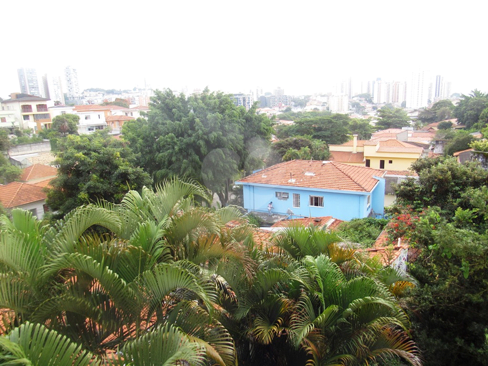 Foto REO576078