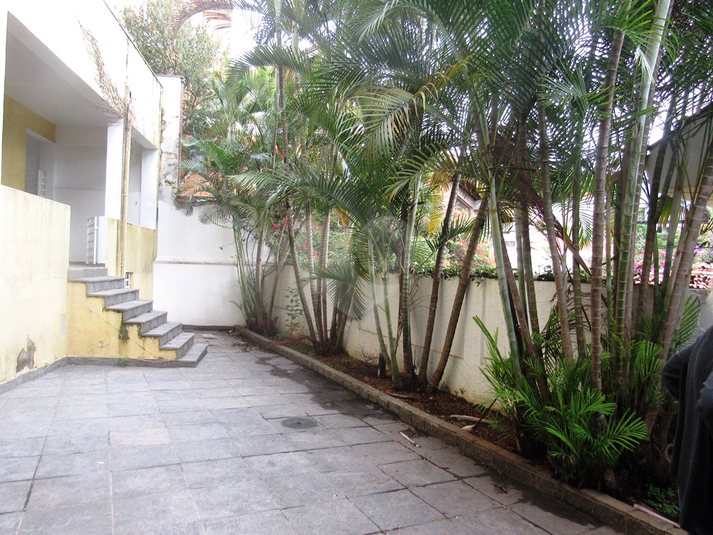 Foto REO576078