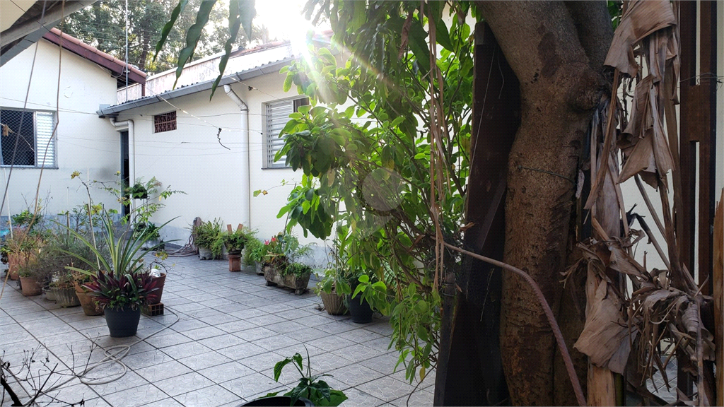 Venda Casa térrea São Paulo Jardim Umuarama REO576243 7