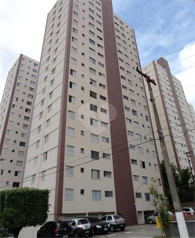 Venda Apartamento São Paulo Jardim Peri REO576376 11