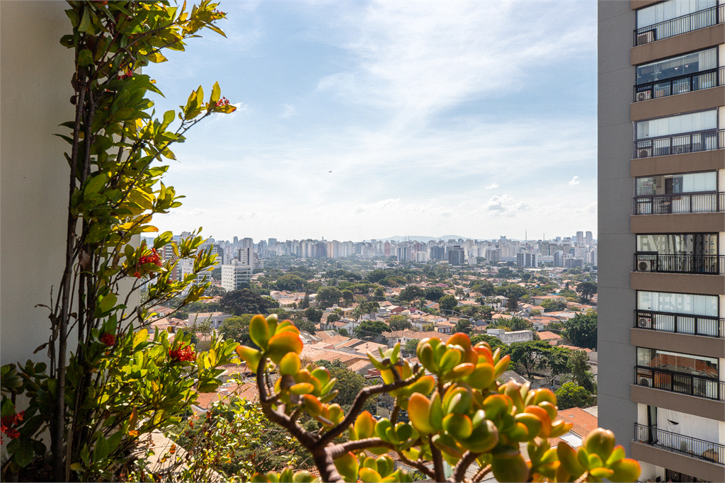 Venda Apartamento São Paulo Campo Belo REO576856 15