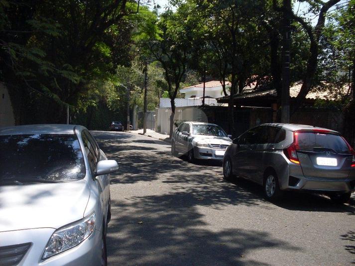 Foto REO57736