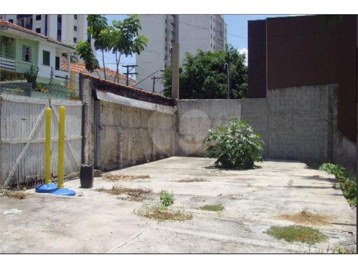Foto REO577534