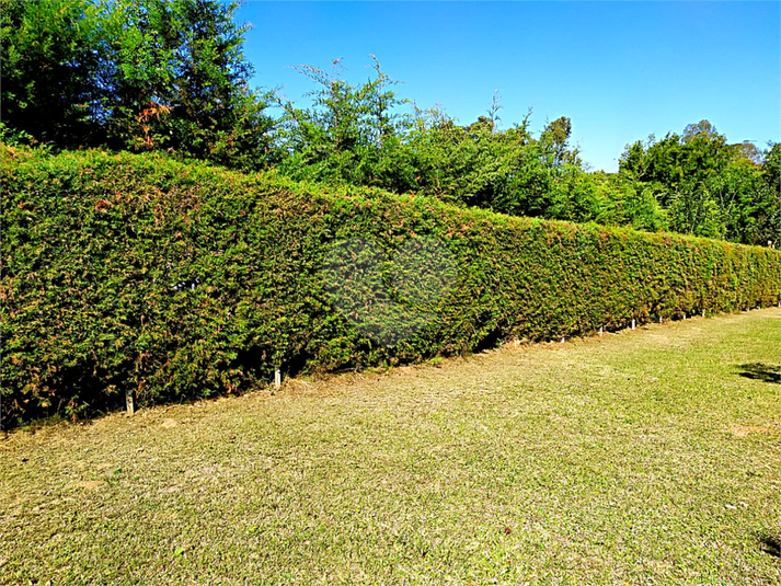 Venda Sítio Eldorado Do Sul Parque Eldorado REO577601 19