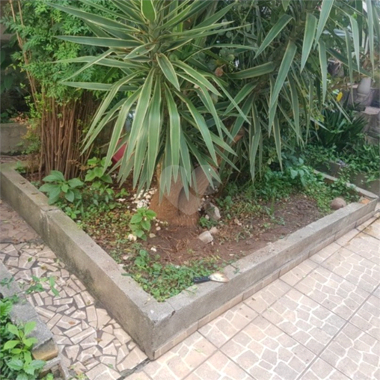 Venda Sobrado São Paulo Vila Bertioga REO577846 13