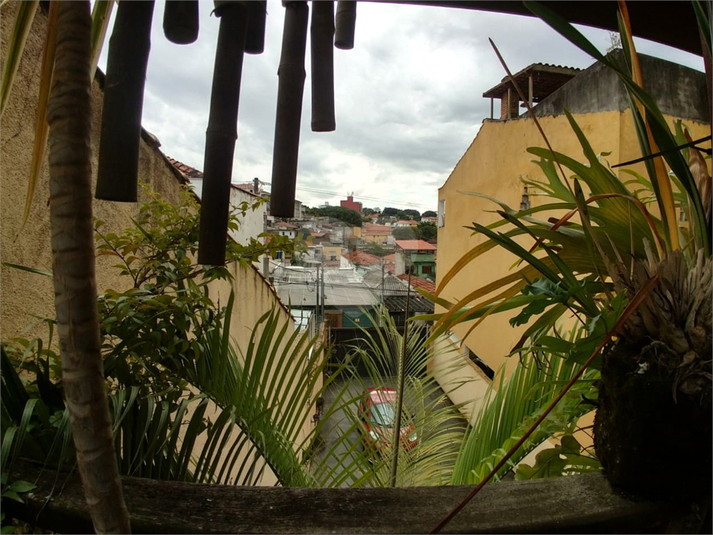 Foto REO577977