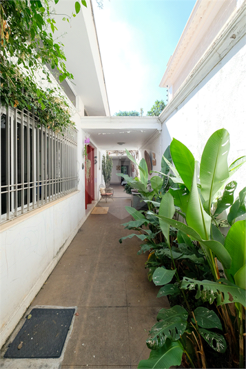 Foto REO578082