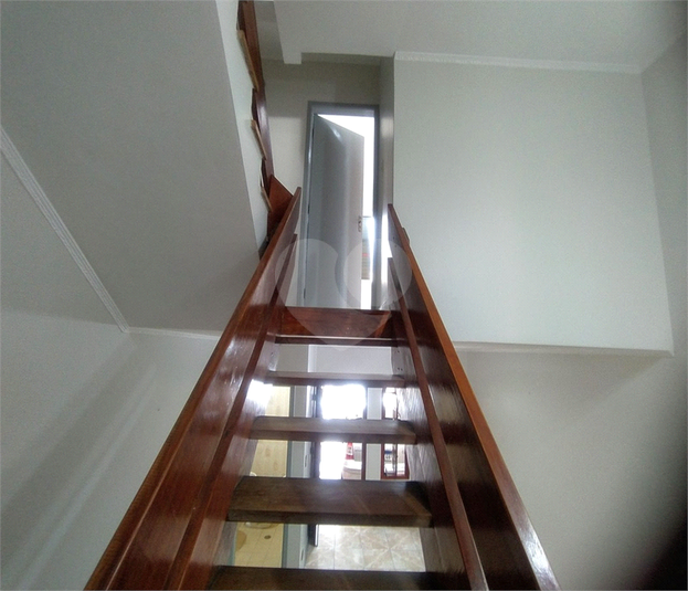 Foto REO578179