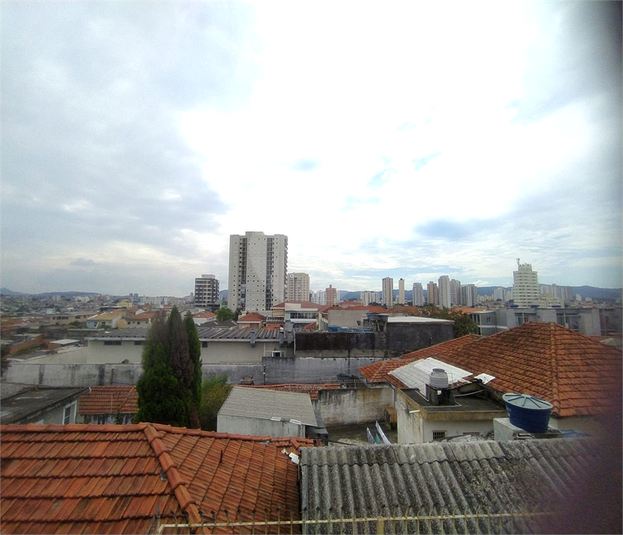 Foto REO578179