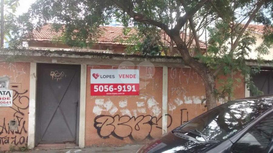 Foto REO57827