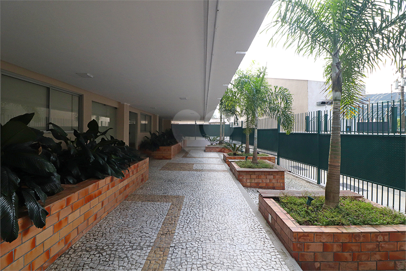 Foto REO579246