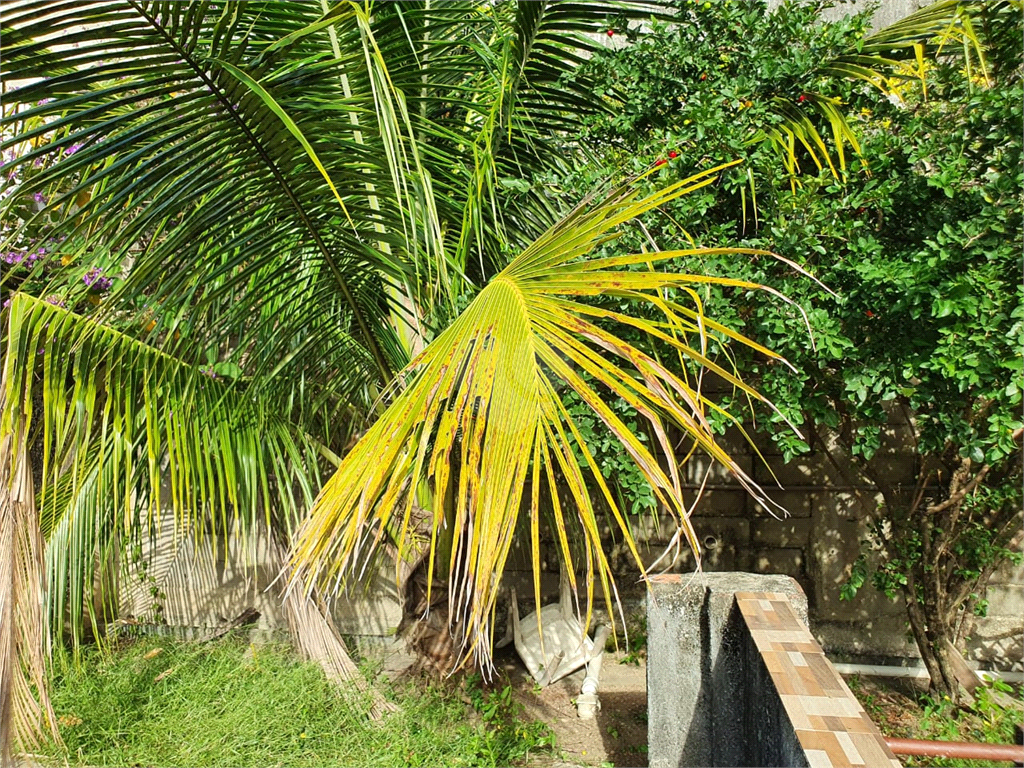 Venda Casa Rio De Janeiro Rio Comprido REO579440 48