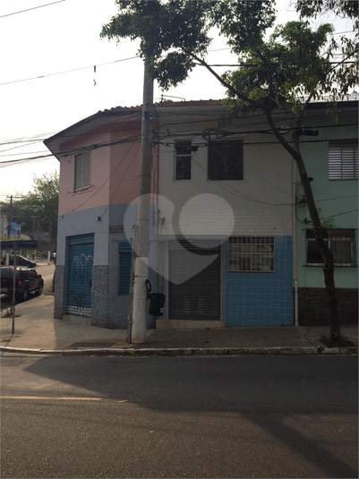 Foto REO579661