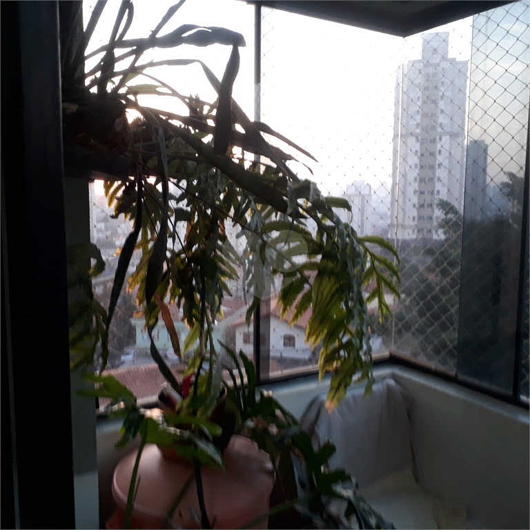 Venda Apartamento São Paulo Vila Vera REO579906 15