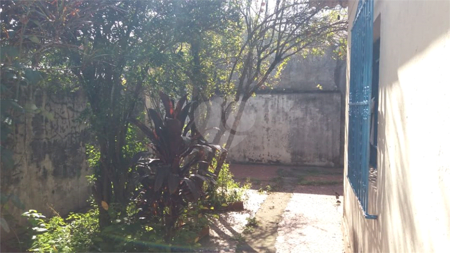 Venda Casa térrea São Paulo Quinta Da Paineira REO580187 18