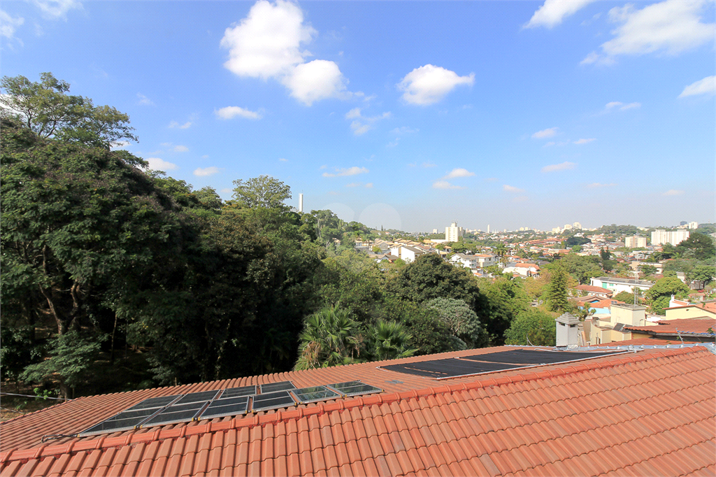 Venda Casa São Paulo Vila Albertina REO580505 63