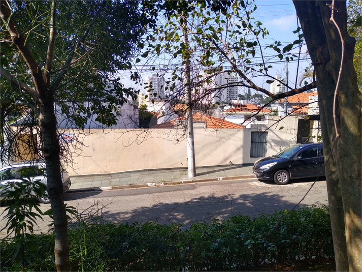 Foto REO581032
