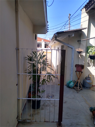 Foto REO581032