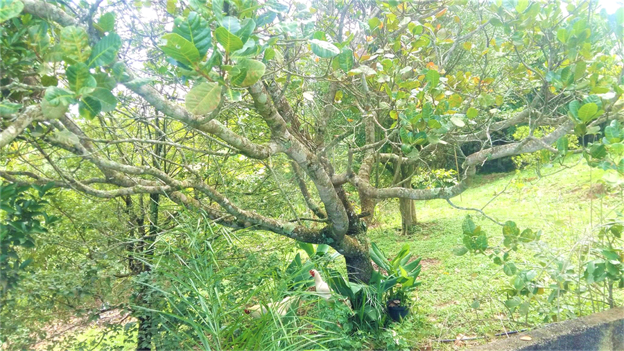 Venda Chácara Franco Da Rocha Cristal Parque REO581132 23