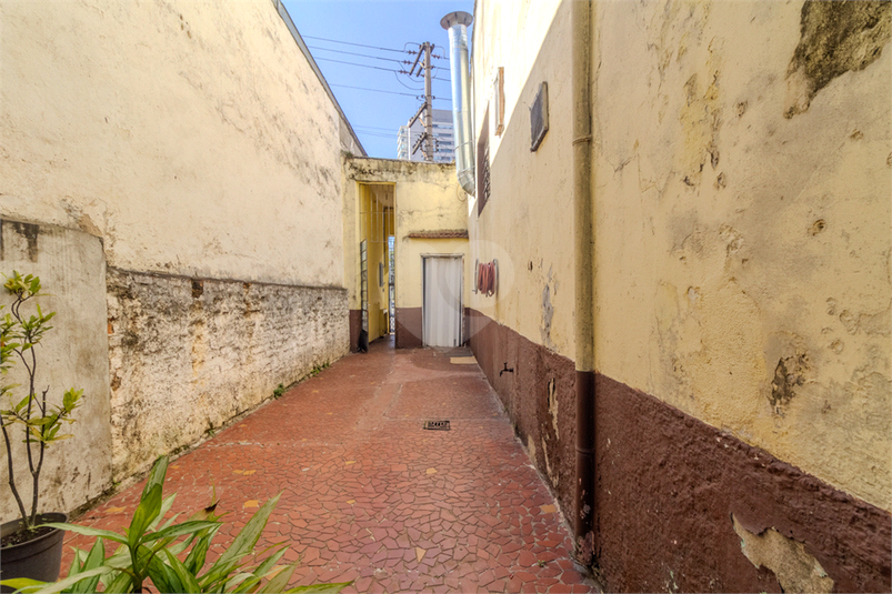 Foto REO581872