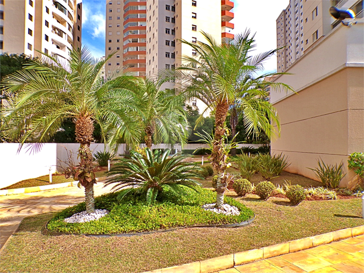 Foto REO58192