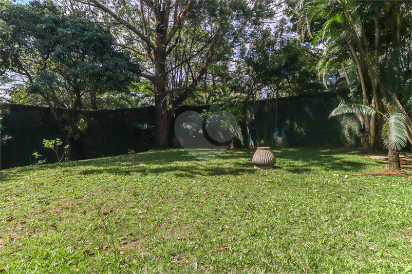 Foto REO581923
