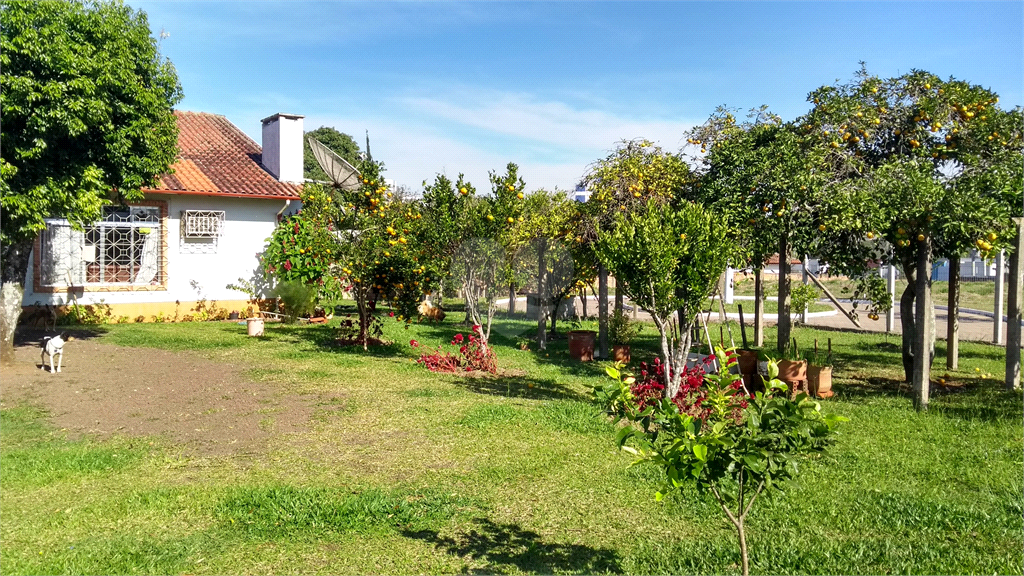 Venda Casa Gravataí Dom Feliciano REO582048 27