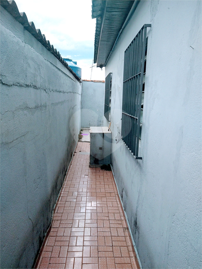 Foto REO582467